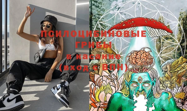 ешки Санкт-Петербург