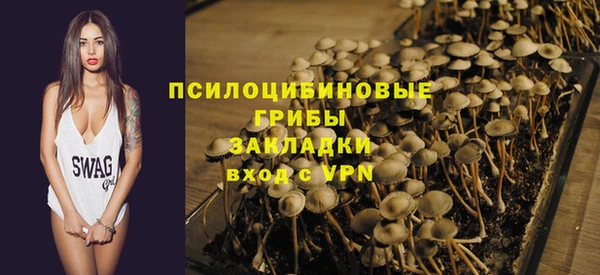 ешки Санкт-Петербург