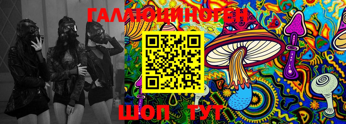 Псилоцибиновые грибы Cubensis  Вход с VPN  Псилоцибиновые грибы мицелий  Россия 